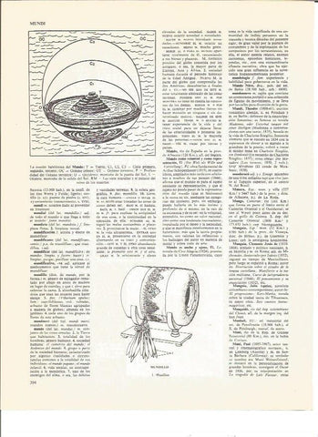 LAMINA V00480: La nocion babilonica del mundo
