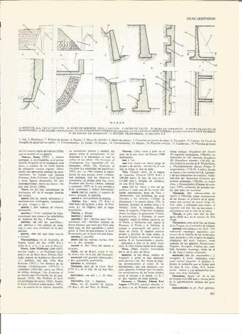 LAMINA V00483: Tipos de muros