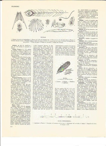 LAMINA V00750: Plumaje y partes de una pluma estilografica