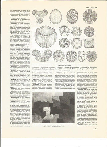 LAMINA V00752: Composicion abstracta por Sergei Poliakov