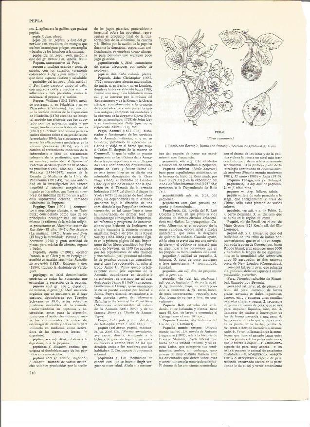 LAMINA V00721: Partes de un peral