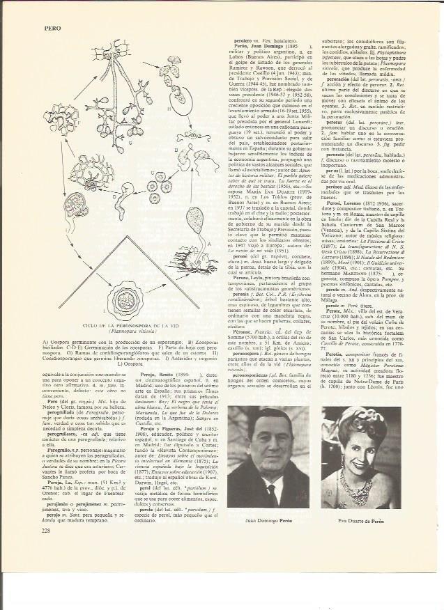 LAMINA V00725: J.D. Peron y Eva Duarte de Peron