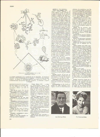 LAMINA V00725: J.D. Peron y Eva Duarte de Peron