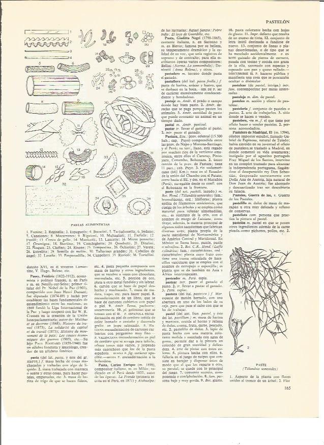 LAMINA V00707: Tipos de pastas alimenticias