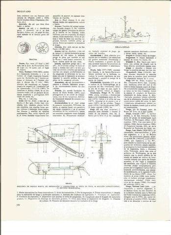 LAMINA V00788: Esquemas de dragas