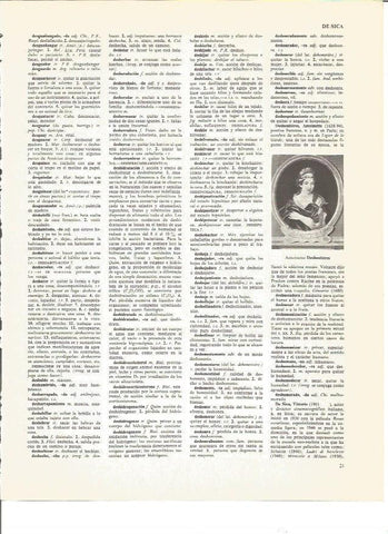 LAMINA V00771: Antoinette Deshoulieres