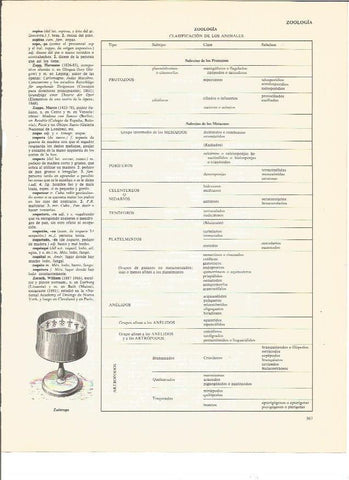 LAMINA V00620: Zootropo 