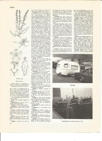 LAMINA V00623: Remolcadores en el puerto de Nueva York