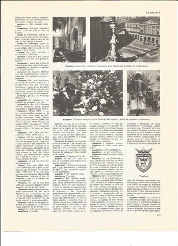 LAMINA V00697: Escudo y vistas de Pamplona
