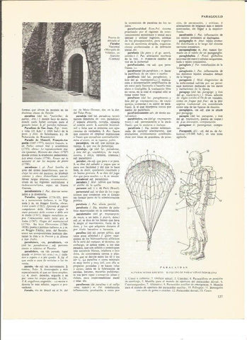 LAMINA V00701: Partes de un paracaidas