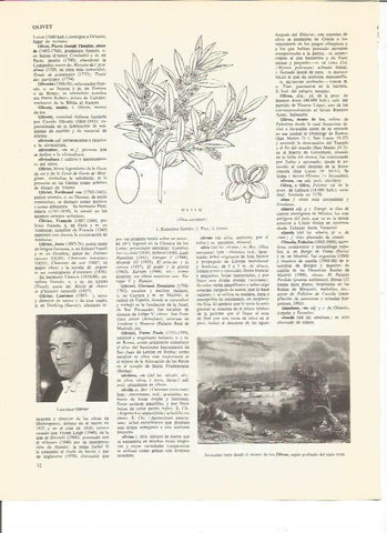 LAMINA V00682: Laurence Olivier