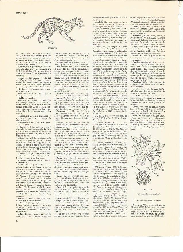 LAMINA V00680: Ocozol y ocelote
