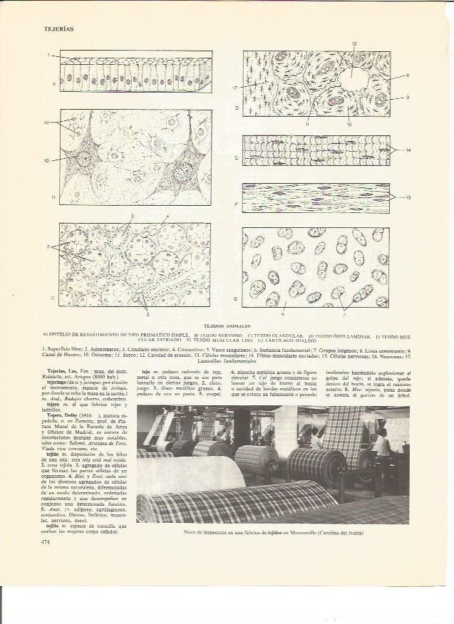 LAMINA V00668: Vista interior de una fabrica de tejidos en Mooresville, Estados Unidos
