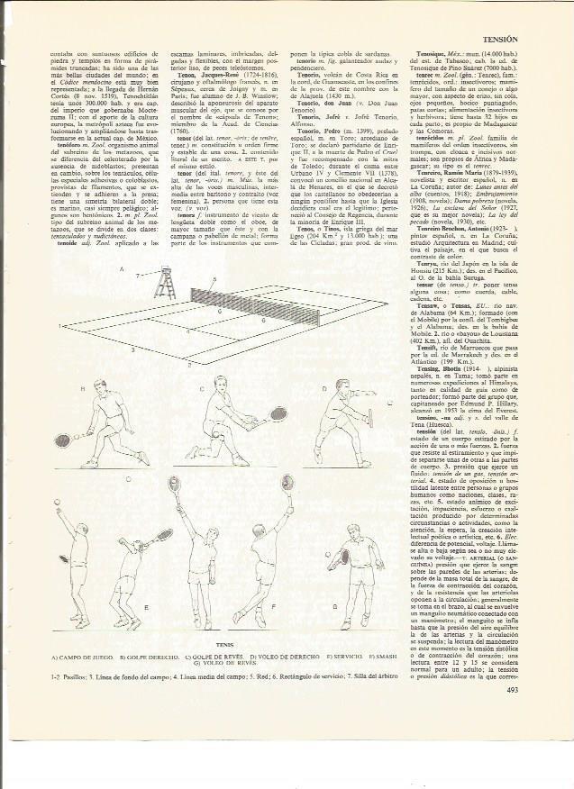LAMINA V00676: Tenis