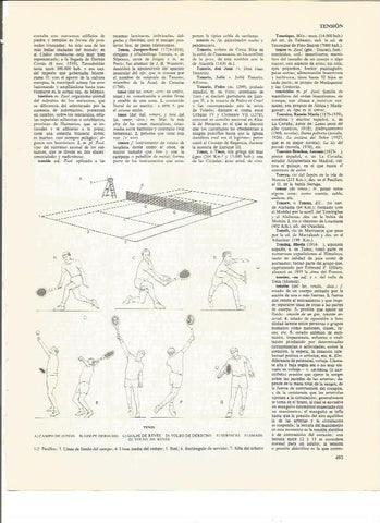 LAMINA V00676: Tenis