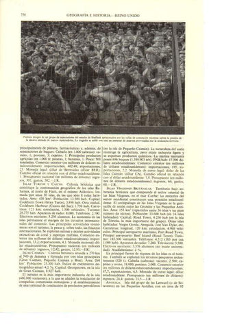 LAMINA ESPASA 38717: Aglomeracion en el estadio de Shelfield