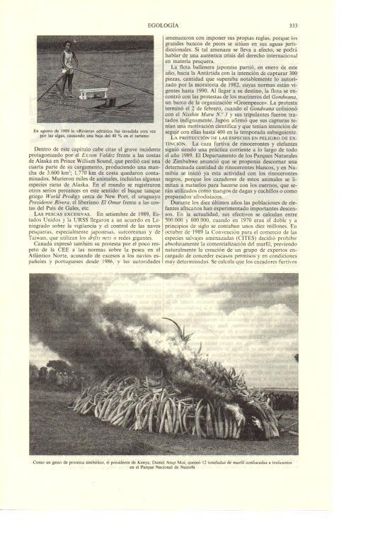 LAMINA ESPASA 38657: Quema de marfil confiscado en Kenia