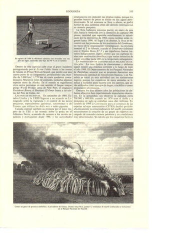 LAMINA ESPASA 38657: Quema de marfil confiscado en Kenia