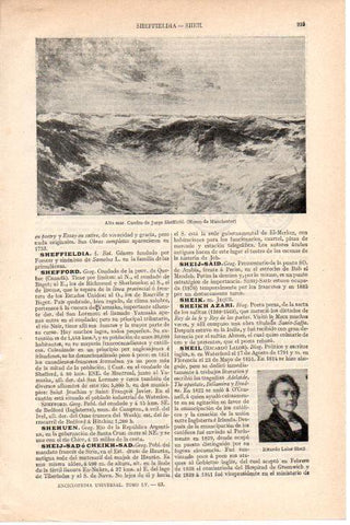 LAMINA ESPASA 38244: Alta mar, por G. Sheffield