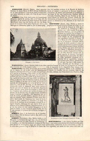 LAMINA ESPASA 38281: Templo de Sibsagar, India