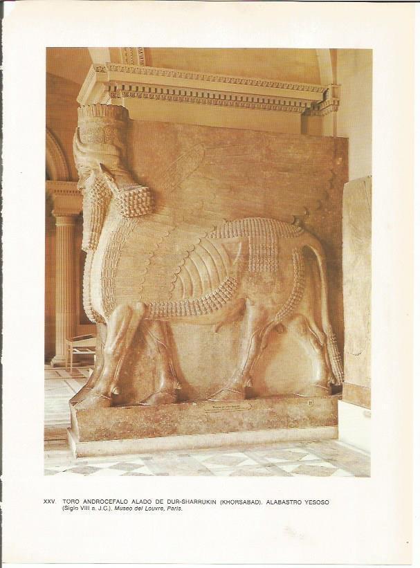 LAMINA 27644: Toro alado de Dur-Sharrukin o Jorsabad, Irak