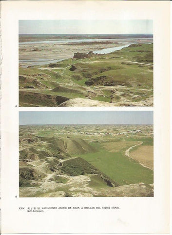 LAMINA 27643: Yacimiento de Asur, Irak