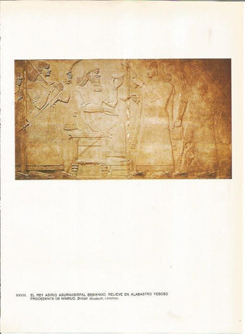 LAMINA 27647: Relieve en alabastro de Nimrud, Irak