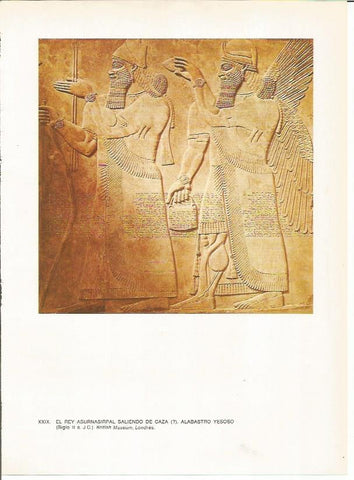 LAMINA 27648: El rey Asurbanipal de caza, relieve asirio