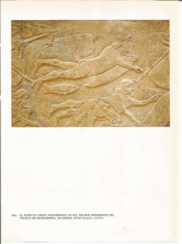 LAMINA 27649: Relieve del Palacio de Asurbanipal