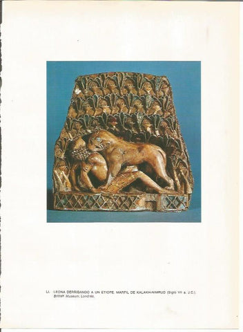 LAMINA 27670: Marfil de Nimrud, Irak
