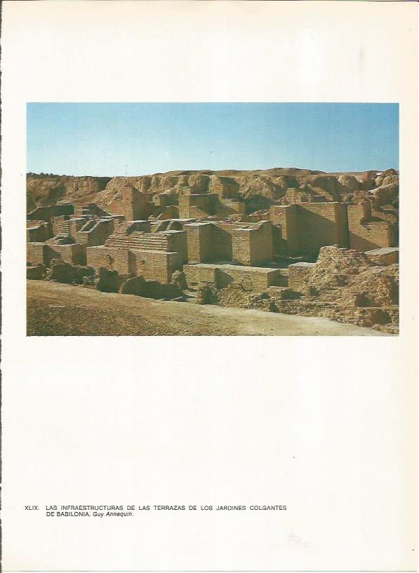 LAMINA 27668: Terrazas en Babilonia, Irak