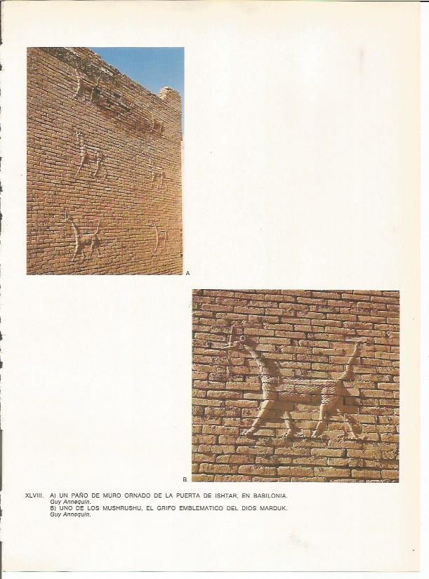 LAMINA 27667: Detalles de la Puerta de Ishtar de Babilonia, Irak