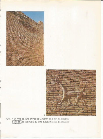 LAMINA 27667: Detalles de la Puerta de Ishtar de Babilonia, Irak