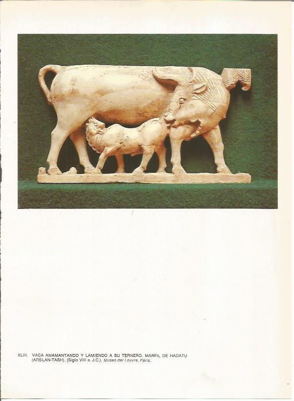 LAMINA 27662: Marfil de Hadatu, Siria
