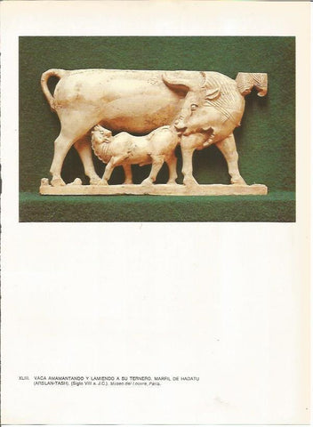 LAMINA 27662: Marfil de Hadatu, Siria