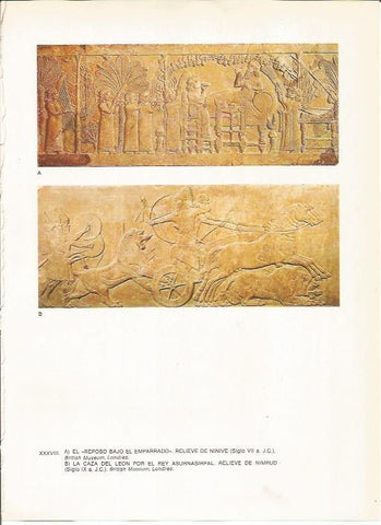 LAMINA 27657: Relieves asirios de Ninive y Nimrud, Irak