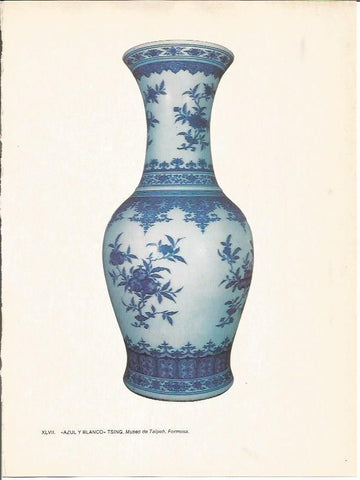 LAMINA 27609: Azul y blanco Tsing, China