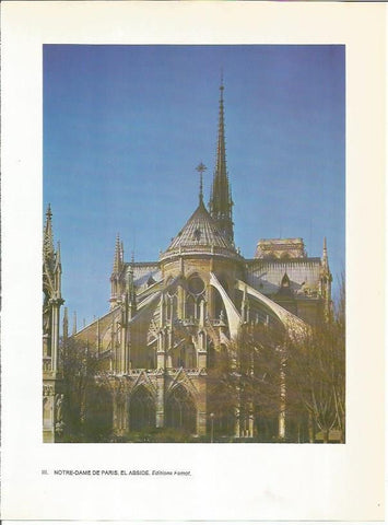 LAMINA 27736: Abside de Notre Dame de Paris
