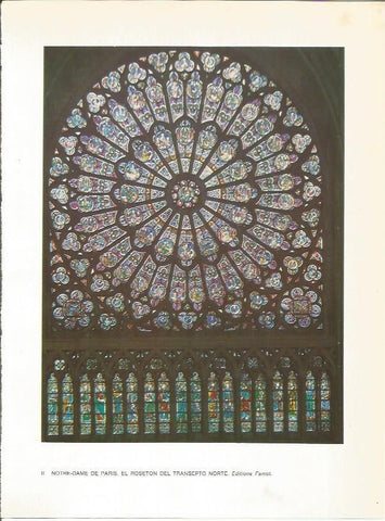 LAMINA 27735: Roseton de Notre Dame de Paris