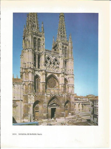 LAMINA 27760:  Catedral de Burgos
