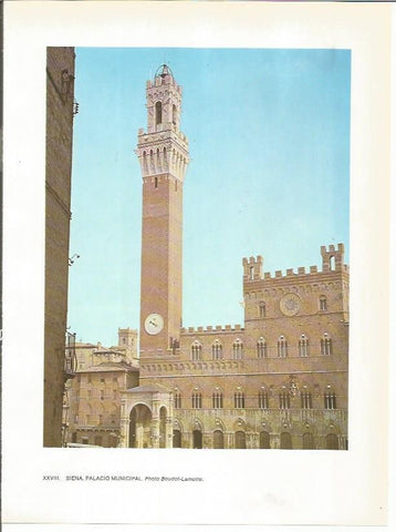 LAMINA 27761: Palacio Municipal de Siena, Italia