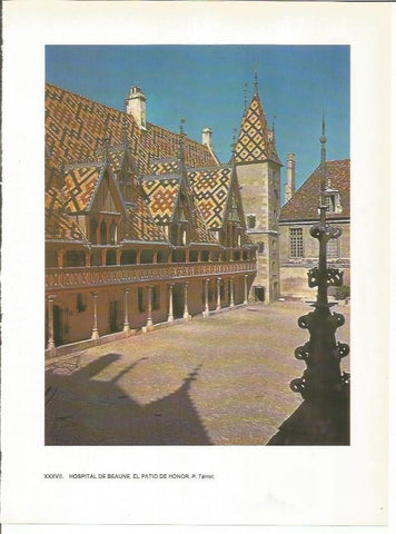 LAMINA 27770: Hospital de Beaune, Francia