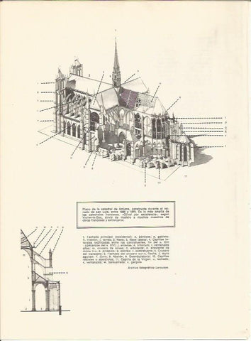 LAMINA 27733: Plano de la catedral de Amiens, Francia