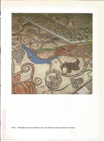 LAMINA 27704: Mosaico del pavimento de San Marcos de Venecia, Italia