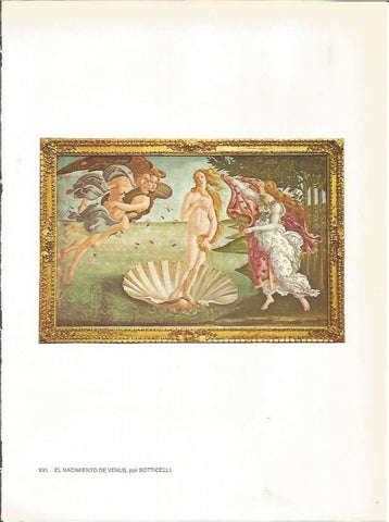 LAMINA 27412: El nacimiento de Venus, por Botticelli