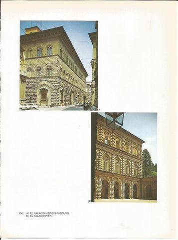 LAMINA 27407: Palacios Medici y Pitti en Florencia