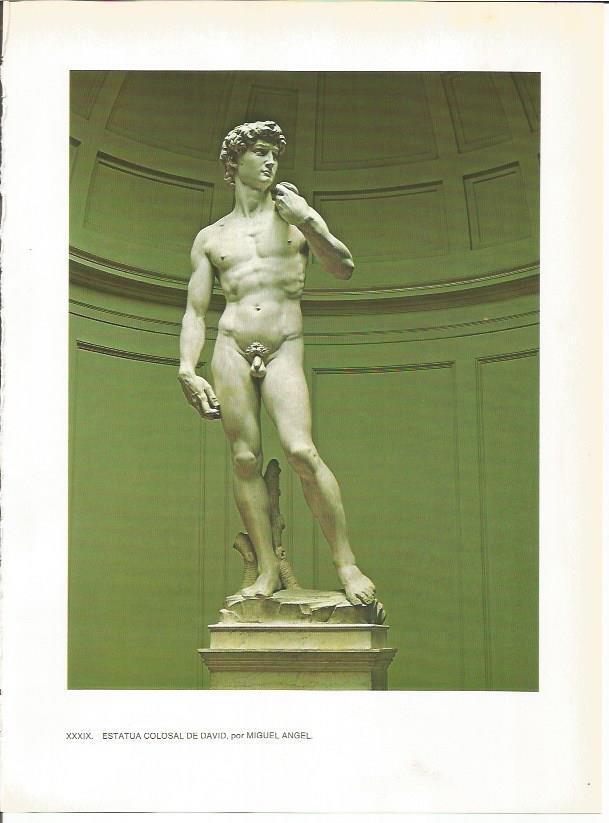 LAMINA 27430: El David de Miguel Angel