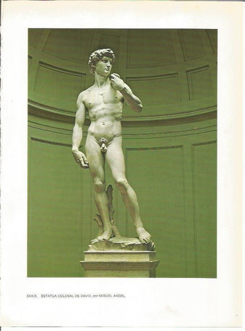 LAMINA 27430: El David de Miguel Angel