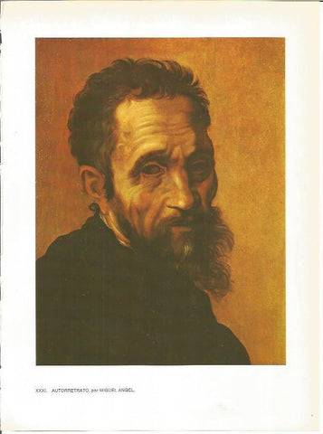 LAMINA 27422: Autorretrato de Miguel Angel