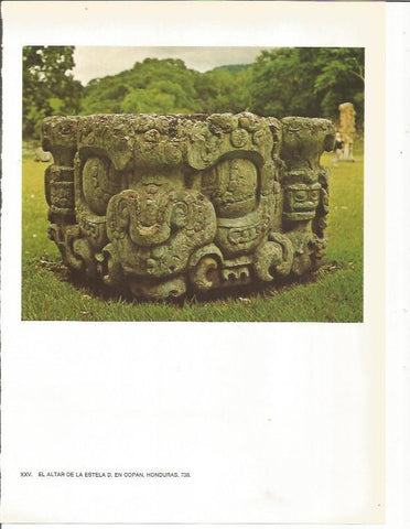 LAMINA 27360: Altar de la estela D de Copan, Honduras